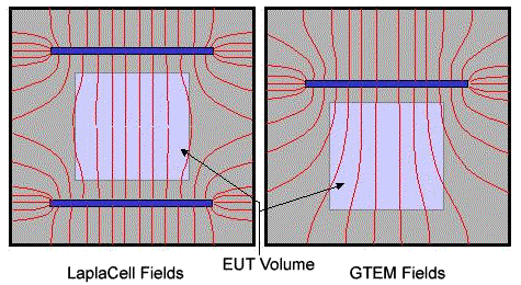 Fields within EUT volume