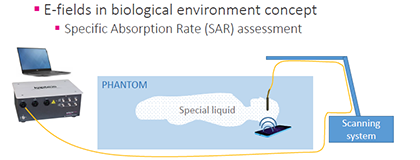 KAPTEOS_SAS_E-fields in bilogical environment Specific Absorption Rate SAR assessment with phantom