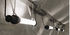 EMI Hardened Light