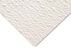 Embossed White FRP Panel