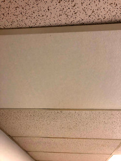 RF Shielded Ceiling Panel with White FRP